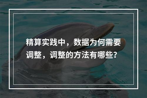 精算实践中，数据为何需要调整，调整的方法有哪些？