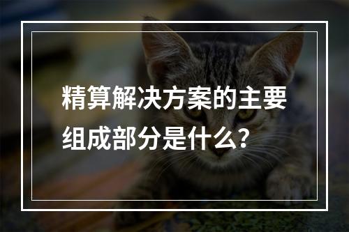 精算解决方案的主要组成部分是什么？