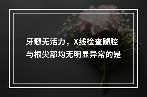 牙髓无活力，X线检查髓腔与根尖部均无明显异常的是