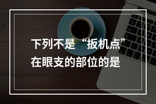 下列不是“扳机点”在眼支的部位的是