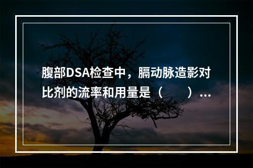 腹部DSA检查中，膈动脉造影对比剂的流率和用量是（　　）。