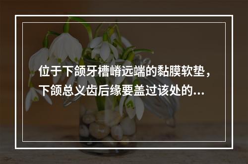 位于下颌牙槽嵴远端的黏膜软垫，下颌总义齿后缘要盖过该处的1/