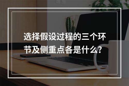 选择假设过程的三个环节及侧重点各是什么？