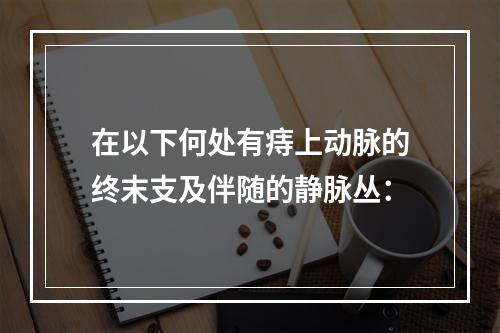 在以下何处有痔上动脉的终末支及伴随的静脉丛：