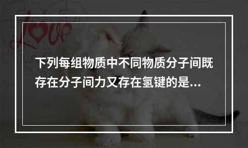 下列每组物质中不同物质分子间既存在分子间力又存在氢键的是（