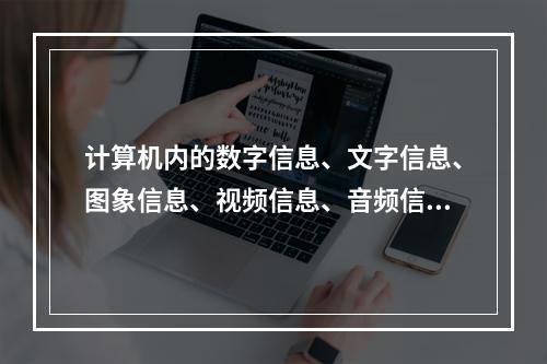 计算机内的数字信息、文字信息、图象信息、视频信息、音频信息等