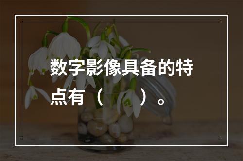 数字影像具备的特点有（　　）。