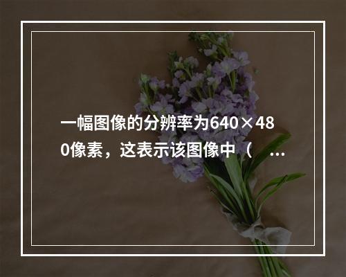 一幅图像的分辨率为640×480像素，这表示该图像中（　　