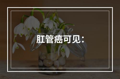 肛管癌可见：