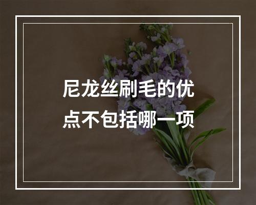 尼龙丝刷毛的优点不包括哪一项