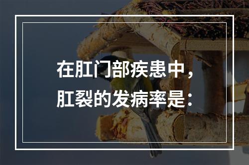 在肛门部疾患中，肛裂的发病率是：