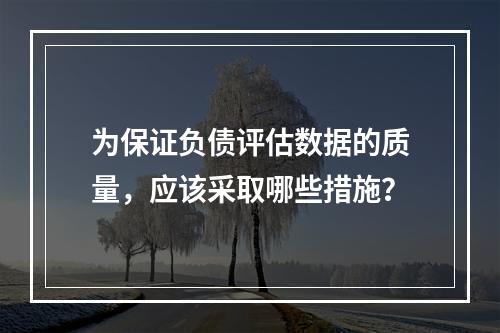 为保证负债评估数据的质量，应该采取哪些措施？