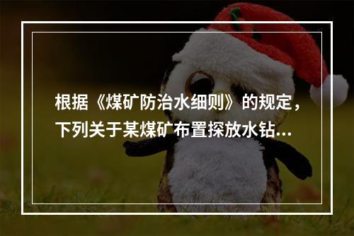 根据《煤矿防治水细则》的规定，下列关于某煤矿布置探放水钻孔的