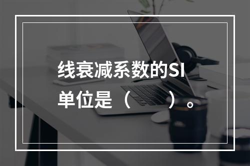 线衰减系数的SI单位是（　　）。