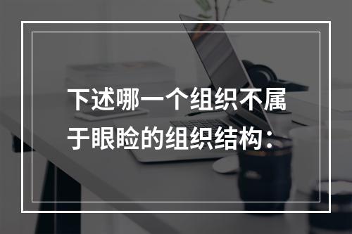 下述哪一个组织不属于眼睑的组织结构：