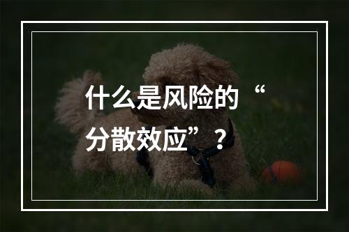 什么是风险的“分散效应”？