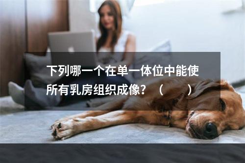 下列哪一个在单一体位中能使所有乳房组织成像？（　　）