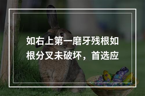 如右上第一磨牙残根如根分叉未破坏，首选应