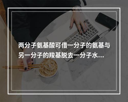 两分子氨基酸可借一分子的氨基与另一分子的羧基脱去一分子水，此