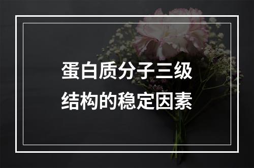 蛋白质分子三级结构的稳定因素