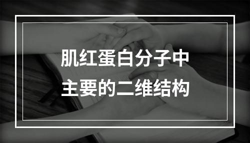 肌红蛋白分子中主要的二维结构