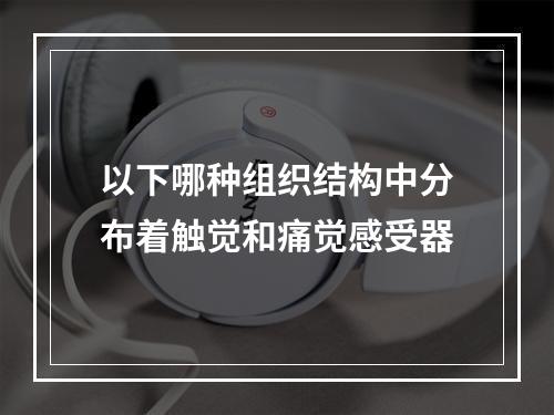 以下哪种组织结构中分布着触觉和痛觉感受器