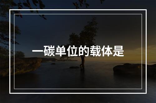 一碳单位的载体是