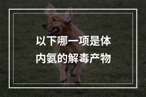 以下哪一项是体内氨的解毒产物