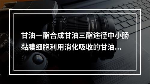 甘油一酯合成甘油三酯途径中小肠黏膜细胞利用消化吸收的甘油一酯