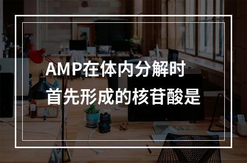 AMP在体内分解时首先形成的核苷酸是