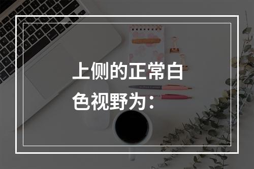 上侧的正常白色视野为：