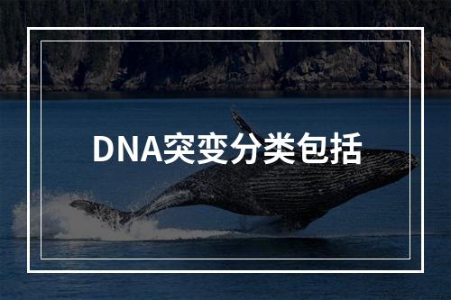 DNA突变分类包括