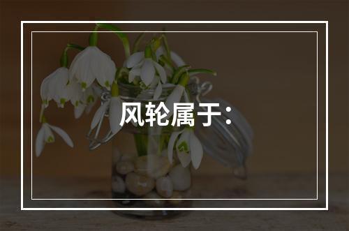 风轮属于：