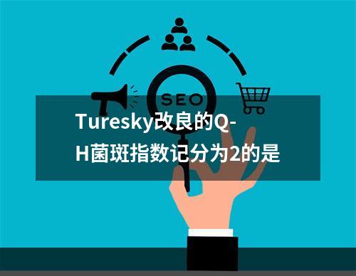 Turesky改良的Q-H菌斑指数记分为2的是