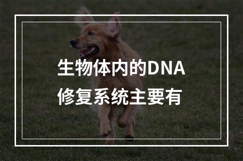 生物体内的DNA修复系统主要有