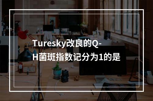 Turesky改良的Q-H菌斑指数记分为1的是