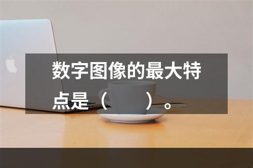 数字图像的最大特点是（　　）。