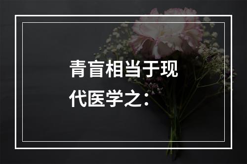 青盲相当于现代医学之：