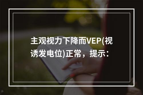 主观视力下降而VEP(视诱发电位)正常，提示：