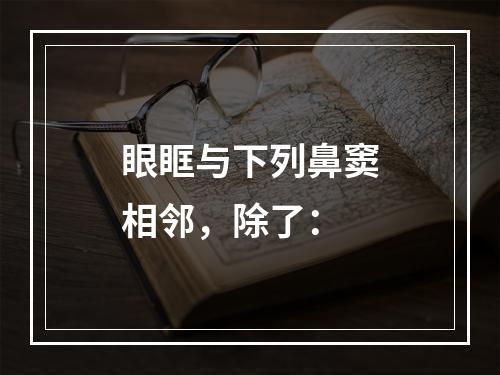 眼眶与下列鼻窦相邻，除了：