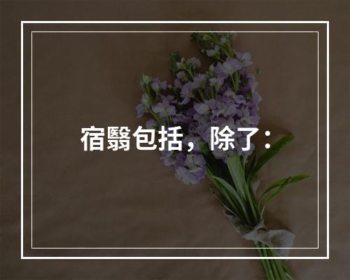 宿翳包括，除了：