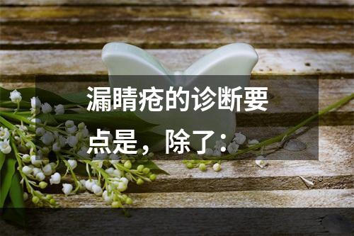 漏睛疮的诊断要点是，除了：