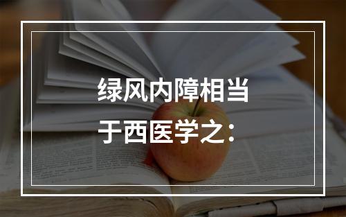 绿风内障相当于西医学之：