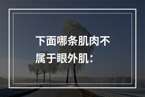 下面哪条肌肉不属于眼外肌：