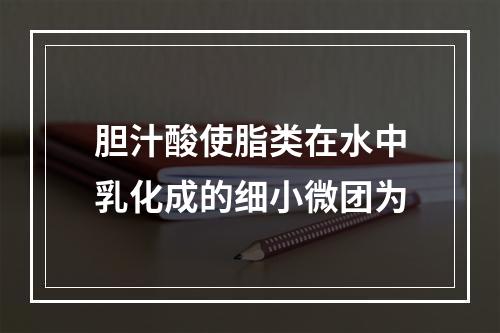 胆汁酸使脂类在水中乳化成的细小微团为