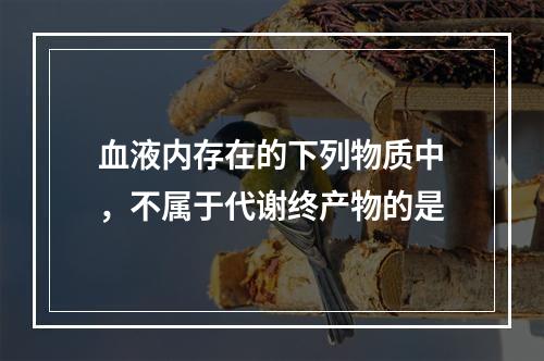 血液内存在的下列物质中，不属于代谢终产物的是