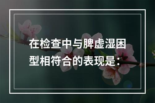 在检查中与脾虚湿困型相符合的表现是：