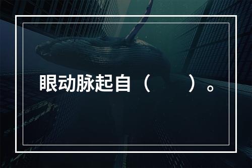 眼动脉起自（　　）。