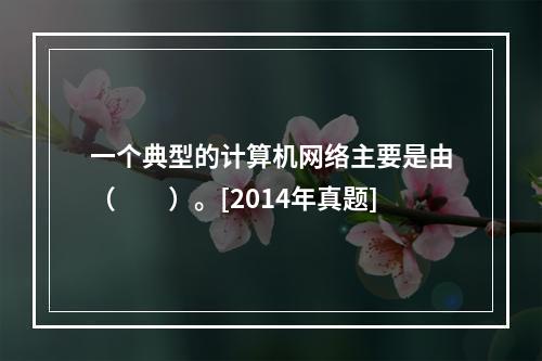 一个典型的计算机网络主要是由（　　）。[2014年真题]