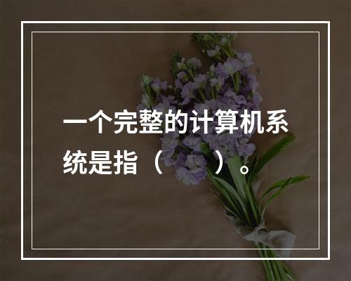 一个完整的计算机系统是指（　　）。